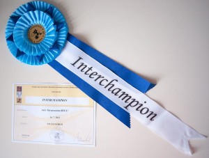 Arès Navarocoons - diploma a kokarda Interchampion        